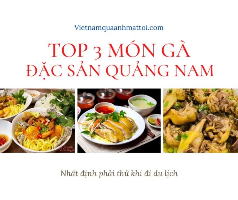 Top 3 Món Gà Đặc sản Quảng Nam